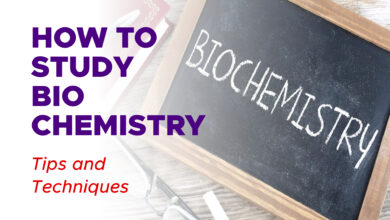 How to Study for Biochemistry: Tips and Techniques 4 How to Study for Biochemistry: Tips and Techniques