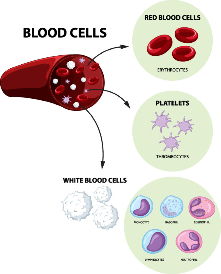 mpv meaning in blood test